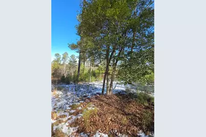 Lot 56 Hornets Bridge Drive, Elberton, GA 30635 - Photo 5