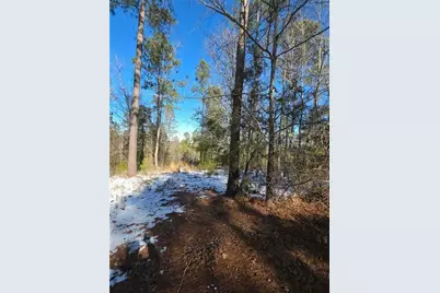 Lot 56 Hornets Bridge Drive, Elberton, GA 30635 - Photo 3