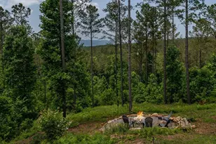 230 High River Landing, Ellijay, GA 30540 - Photo 19