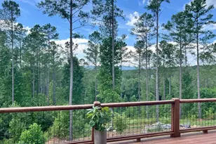 230 High River Landing, Ellijay, GA 30540 - Photo 17