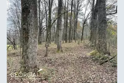 960 Walnut Road, Hoschton, GA 30548 - Photo 5