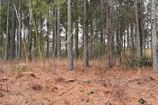 266 Old Yorkville Rd, Dallas, GA 30157 - Photo 1