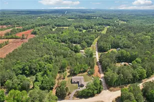 411 Johnson Rd, Locust Grove, GA 30248 - Photo 45