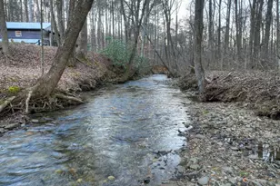 222 Grouse Ln, Talking Rock, GA 30175 - Photo 47