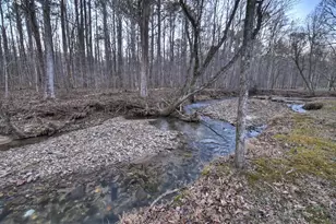 222 Grouse Ln, Talking Rock, GA 30175 - Photo 59