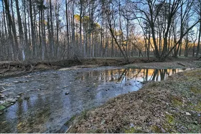 222 Grouse Lane, Talking Rock, GA 30175 - Photo 49