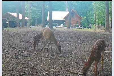 222 Grouse Lane, Talking Rock, GA 30175 - Photo 67