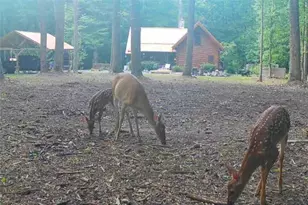 222 Grouse Ln, Talking Rock, GA 30175 - Photo 67