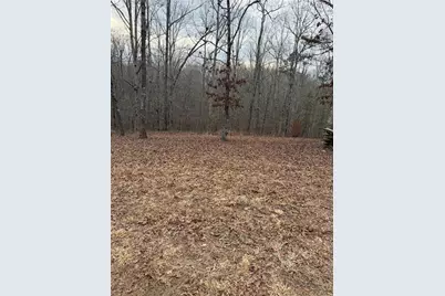 000000 Hutcheson Road, Temple, GA 30179 - Photo 1