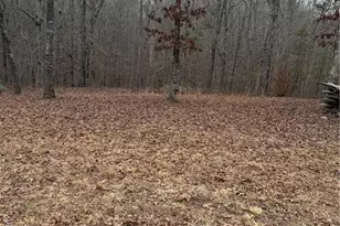 000000 Hutcheson Rd, Temple, GA 30179 - Photo 1