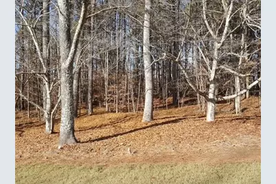 104 Hawks Court, Ball Ground, GA 30107 - Photo 5