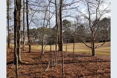 104 Hawks Court, Ball Ground, GA 30107 - Photo 1