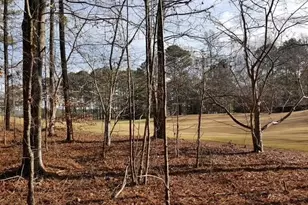 104 Hawks Ct, Ball Ground, GA 30107 - Photo 1