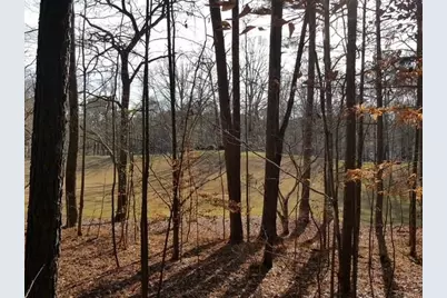 104 Hawks Court, Ball Ground, GA 30107 - Photo 3