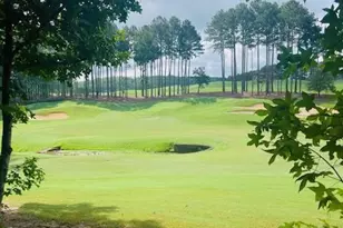 120 Hawks Ct, Ball Ground, GA 30107 - Photo 1