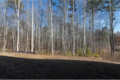 254 Webster Lake Drive, Temple, GA 30179 - Photo 33