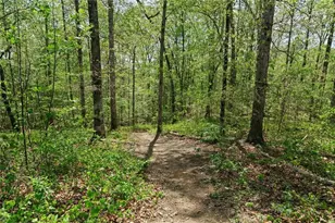 126 Abbington River Ln, Atlanta, GA 30339 - Photo 59