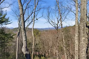 1343 McElroy Mountain Dr, Jasper, GA 30143 - Photo 41