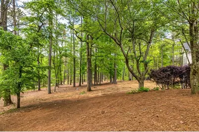 20 Jasmine Court, Newnan, GA 30265 - Photo 49