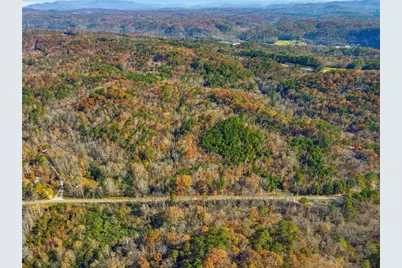 38 Ac Whitestone Road, Talking Rock, GA 30175 - Photo 3