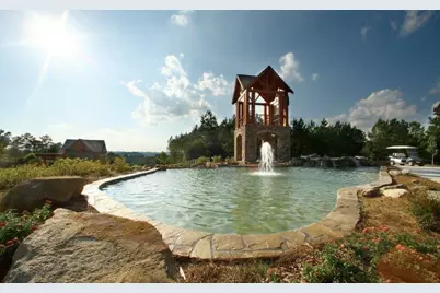 14 Cherry Blossom Walk, Dallas, GA 30132 - Photo 43