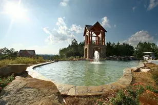 14 Cherry Blossom Walk, Dallas, GA 30132 - Photo 43