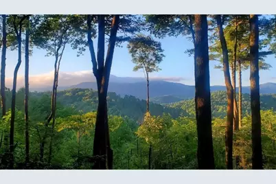 Lot 3 Gold Ridge Trail, Cherrylog, GA 30522 - Photo 7