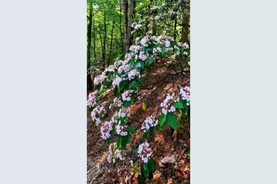 Lot 3 Gold Ridge Trail, Cherrylog, GA 30522 - Photo 17