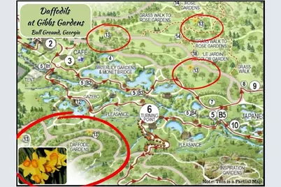 4040 Sierra Vista Circle, Cumming, GA 30040 - Photo 47