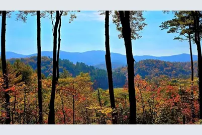 Lot 5 Gold Ridge Trail, Cherrylog, GA 30522 - Photo 1