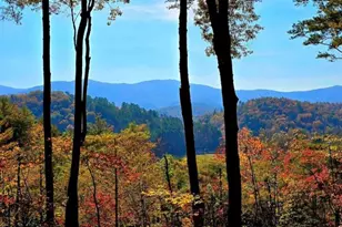 Lot 5 Gold Ridge Trail, Cherrylog, GA 30522 - Photo 1