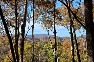 Lot 5 Gold Ridge Trail, Cherrylog, GA 30522 - Photo 1