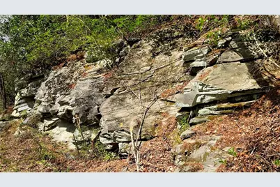 Lot 5 Gold Ridge Trail, Cherrylog, GA 30522 - Photo 11