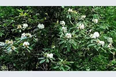 Lot 5 Gold Ridge Trail, Cherrylog, GA 30522 - Photo 9