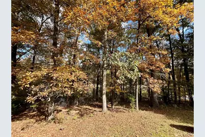 159 May Lane, Zebulon, GA 30295 - Photo 85