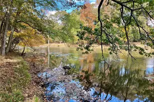 159 May Ln, Zebulon, GA 30295 - Photo 101