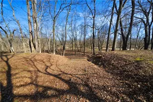 227 Bates Rd SE, Cartersville, GA 30120 - Photo 53