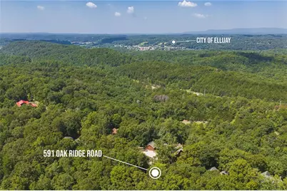 591 Oak Ridge Road, Ellijay, GA 30536 - Photo 29