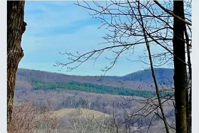 156 Sky High Drive, Ellijay, GA 30536 - Photo 9