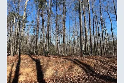 440 Ridge Road, Dawsonville, GA 30534 - Photo 3