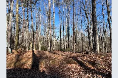 440 Ridge Road, Dawsonville, GA 30534 - Photo 5