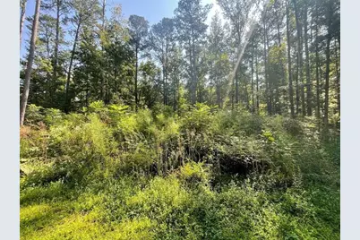 6031 Falcon Court, Austell, GA 30106 - Photo 3