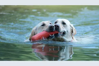 4775 Berkeley Walk Point, Berkeley Lake, GA 30096 - Photo 89