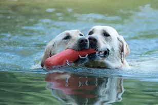 4775 Berkeley Walk Point, Berkeley Lake, GA 30096 - Photo 89