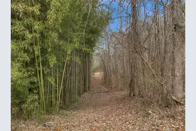 8455 Ono Road, Palmetto, GA 30268 - Photo 43