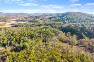 121 Waterfalls Wy, Clarkesville, GA 30523 - Photo 59