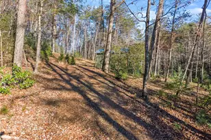 121 Waterfalls Wy, Clarkesville, GA 30523 - Photo 11