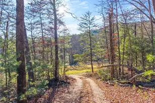 121 Waterfalls Wy, Clarkesville, GA 30523 - Photo 13