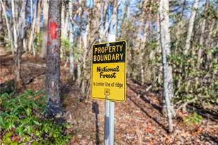 121 Waterfalls Wy, Clarkesville, GA 30523 - Photo 53