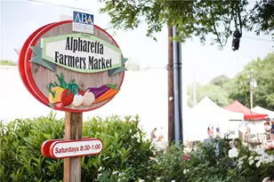 210 Midnight Oak Run, Alpharetta, GA 30009 - Photo 53